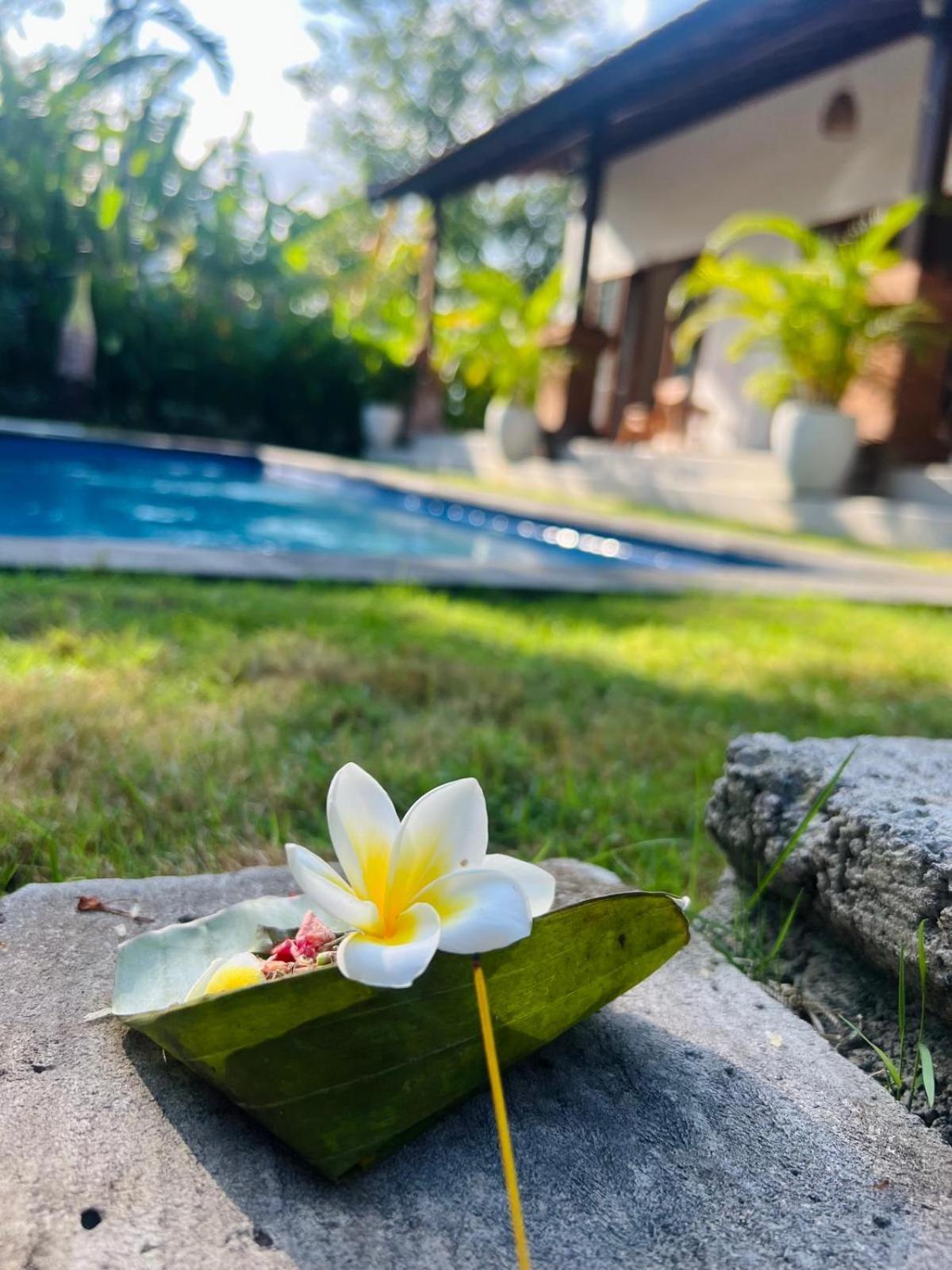Wiryaroja Guest House Canggu  Ngoại thất bức ảnh